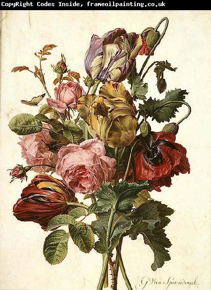 Gerard van Spaendonck Bouquet of Tulips, Roses and an Opium Poppy, with a Pale Clouded Yellow Butterfly, a Red Longhorn Beetle and a Sevenspotted Ladybug